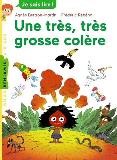 [9782745928184] UNE TRÈS, TRÈS GROSSE COLÈRE