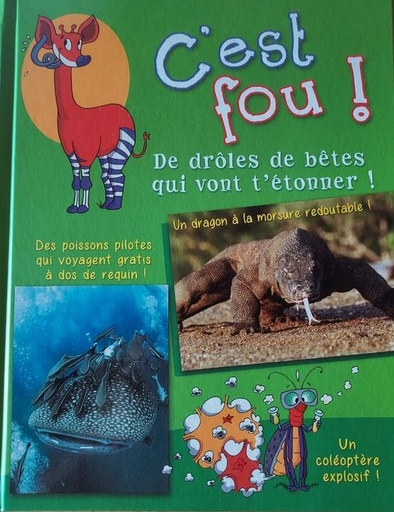 [9789461983169] C'EST FOU! (2 TITRES)