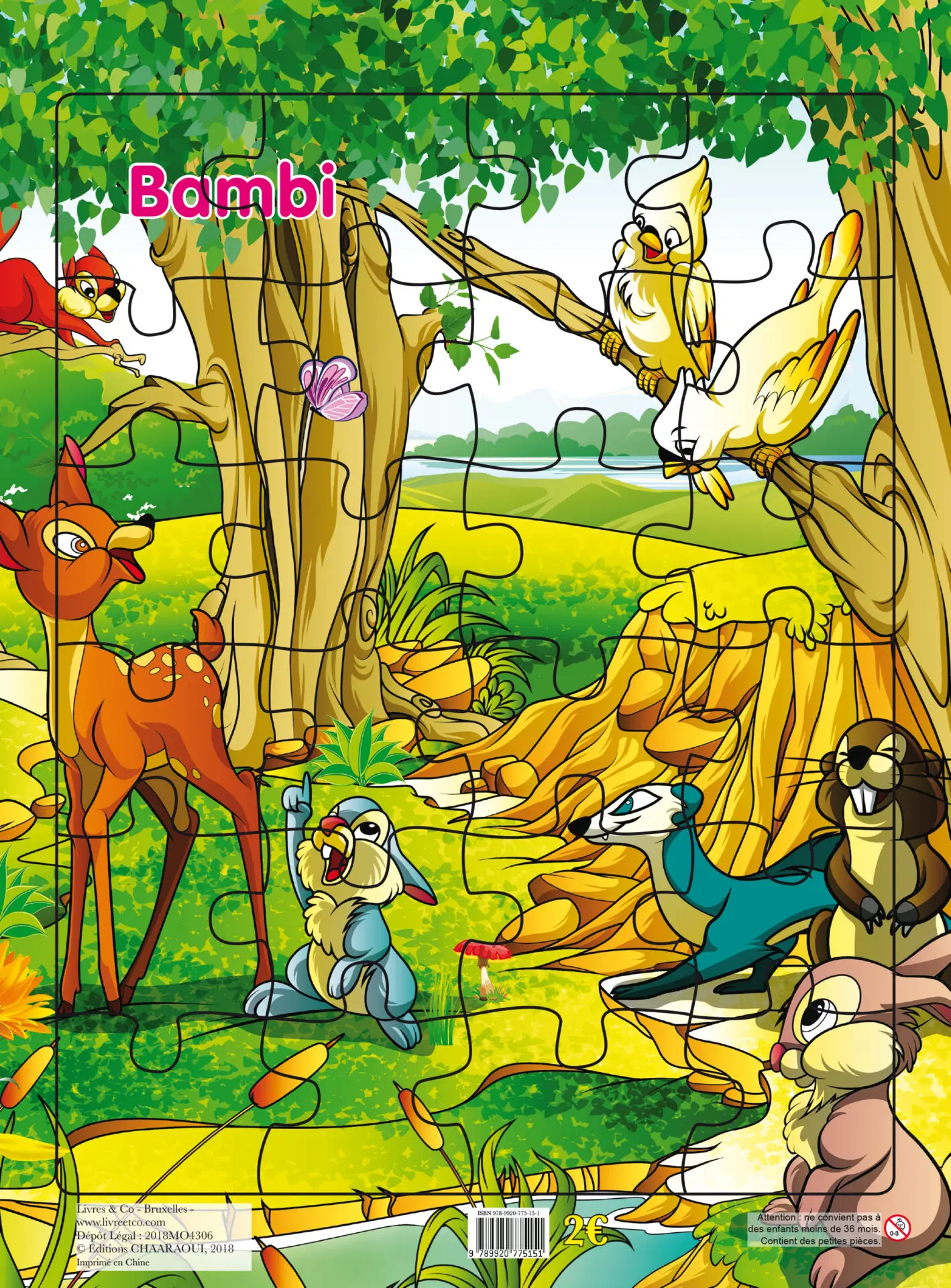 [9789920775151] PLANCHES PUZZLE DES CONTES CLASSIQUES