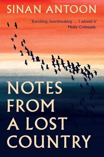 [9781849251235] Notes from a Lost Country
