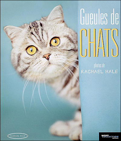 [274418313X] GUEULES DE CHATS(PHOTOS)