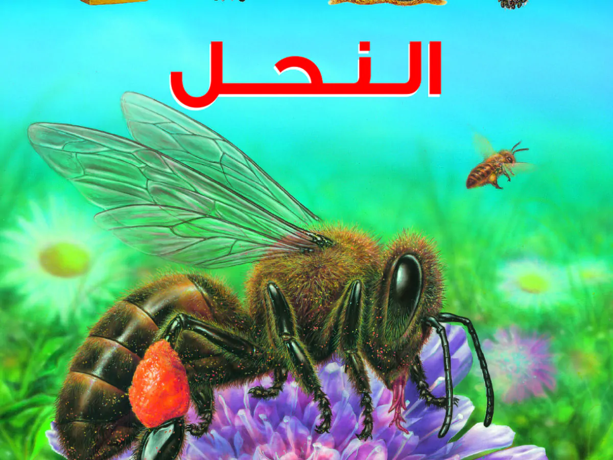 [9789920775144] موسوعة المعارف المصورة : النحل