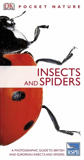 [9781405349970] INSECTS & SPIDERS