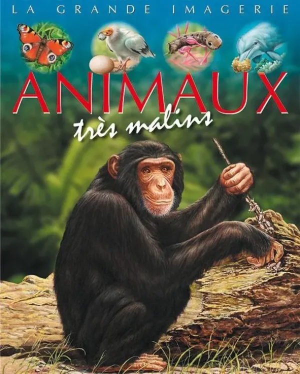 [9789920775267] LA GRANDE IMAGERIE: ANIMAUX TRÈS MALINS
