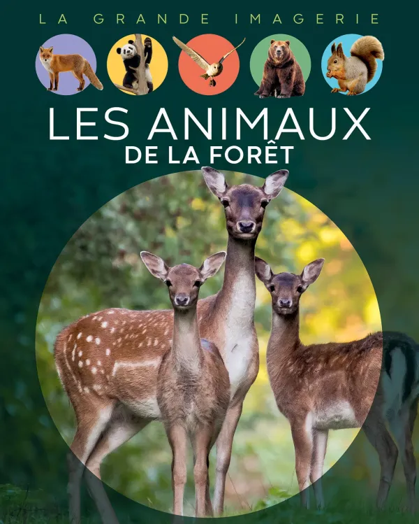 [9789920775366] LA GRANDE IMAGERIE: LES ANIMAUX DE LA FORÊT