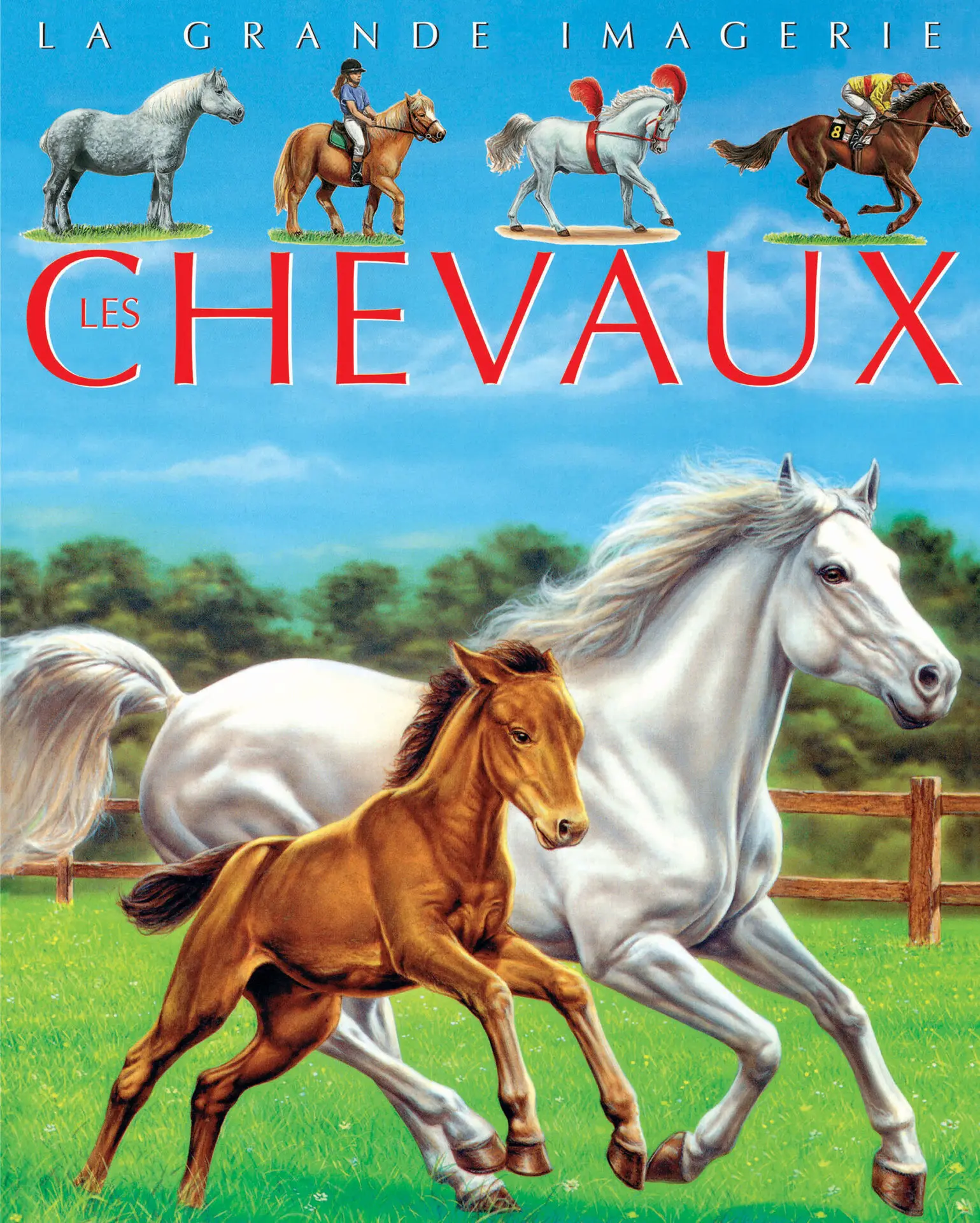 [9789920775304] LA GRANDE IMAGERIE: LES CHEVAUX