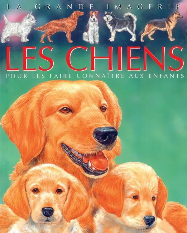 [9789920775311] LA GRANDE IMAGERIE: LES CHIENS
