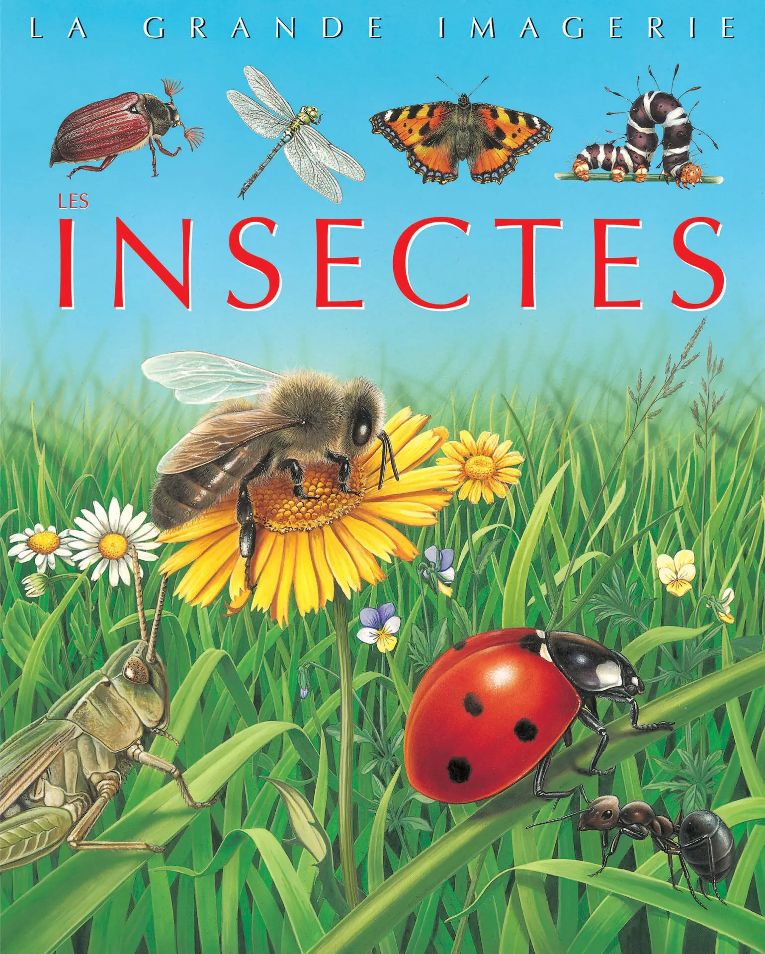 [9789920775298] LA GRANDE IMAGERIE: LES INSECTES