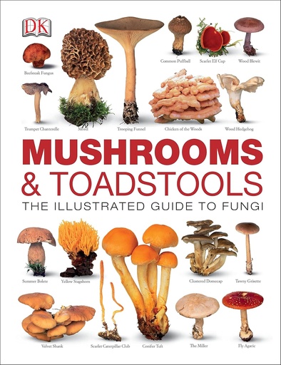 [9781409332770] MUSHROOMS & TOADSTOOLS