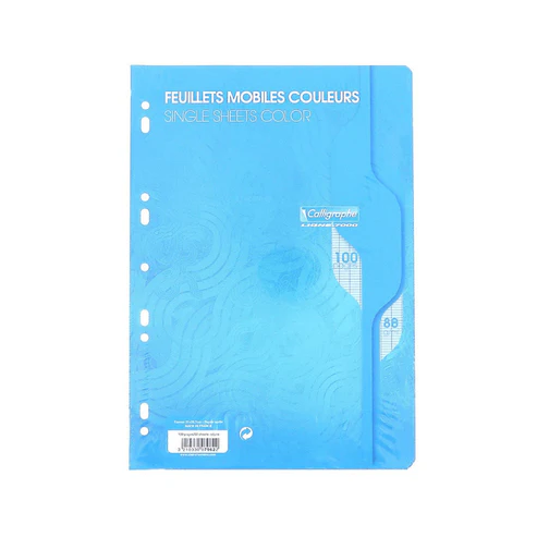 [3210330079622] FEUILLES MOBILES BLEU 21*29.7 CM 100P SEYES 80G