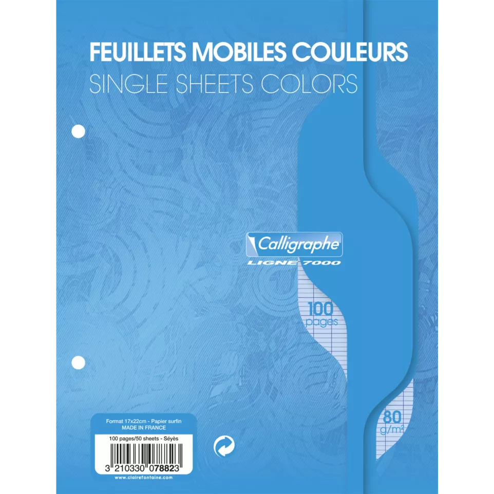 [3210330078823] FEUILLETS MOBILES BLEU17*22 CM 100P