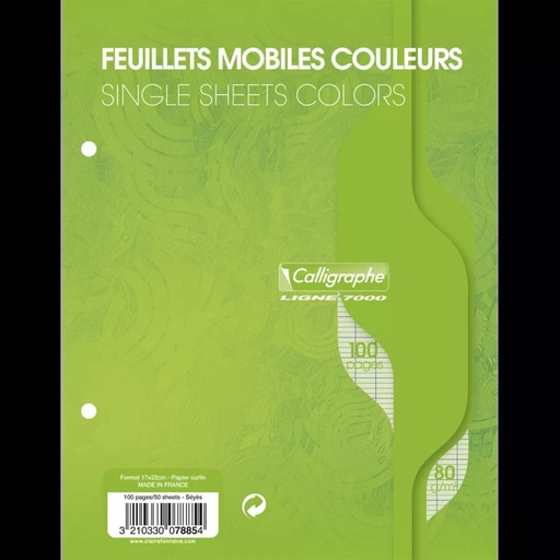 [3210330078854] FEUILLETS MOBILES VERT 17*22 100P SEYÈS 80G
