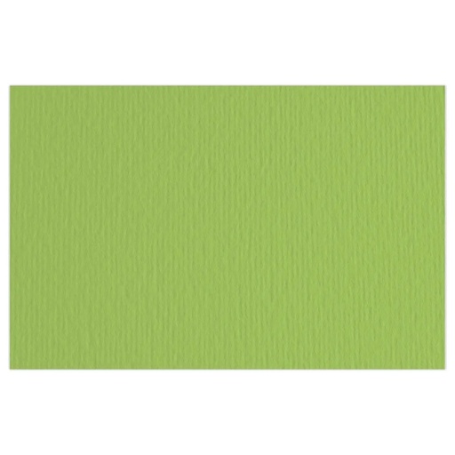 [42450710] PAPIER DESSIN 50*70 BLISTER 220G VERT PISTACHE FABRIANO