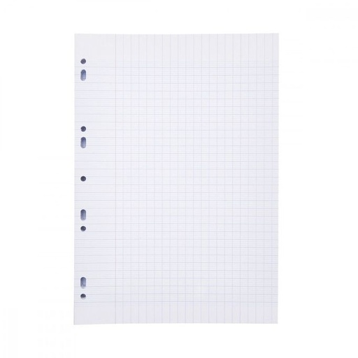 [6111250480383] RECHARGE DOUBLE FEUILLE 80P SEYES 17*22  REF 800A ESSENTIEL